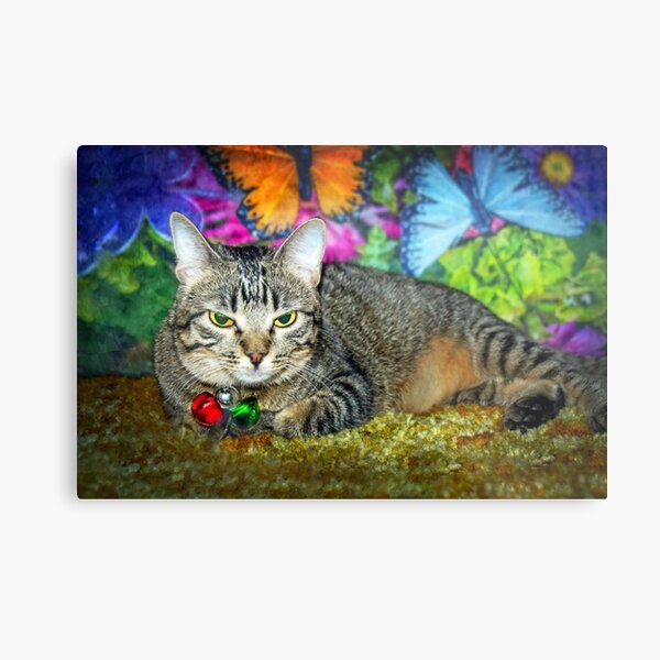 Metal Print