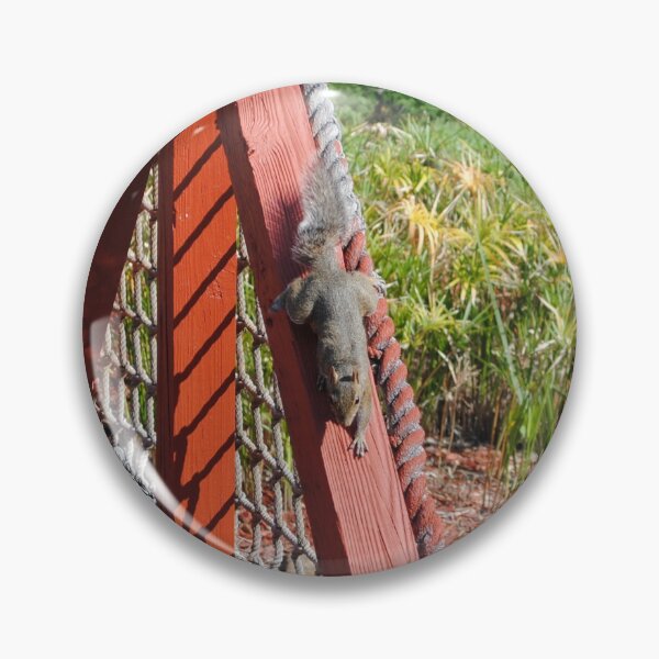 Item preview, Squirrel playing on red bridge by pond original pic designed and sold by FindYouByZ.