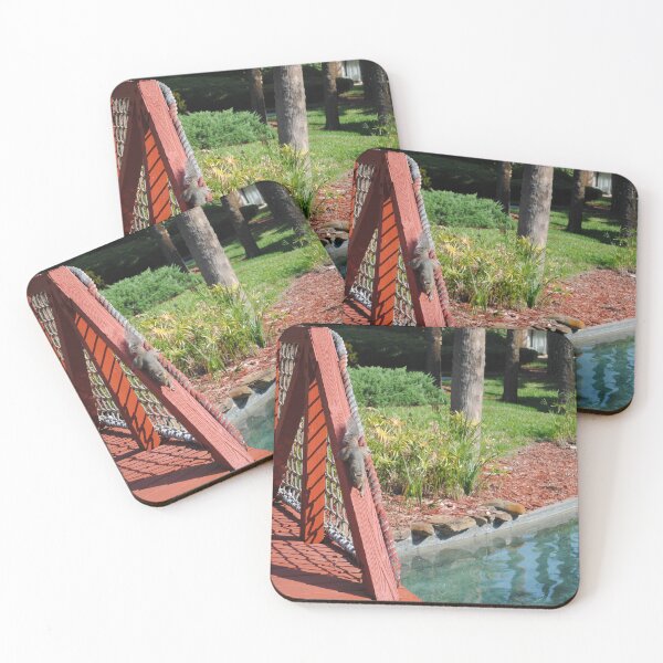 Item preview, Squirrel playing on red bridge by pond original pic designed and sold by FindYouByZ.