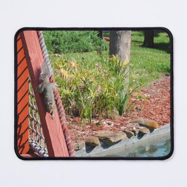 Item preview, Squirrel playing on red bridge by pond original pic designed and sold by FindYouByZ.
