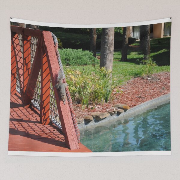 Item preview, Squirrel playing on red bridge by pond original pic designed and sold by FindYouByZ.