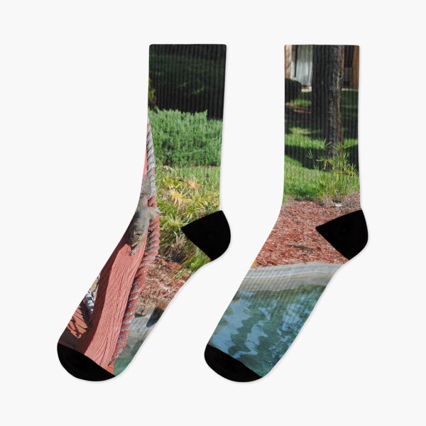 Item preview, Squirrel playing on red bridge by pond original pic designed and sold by FindYouByZ.