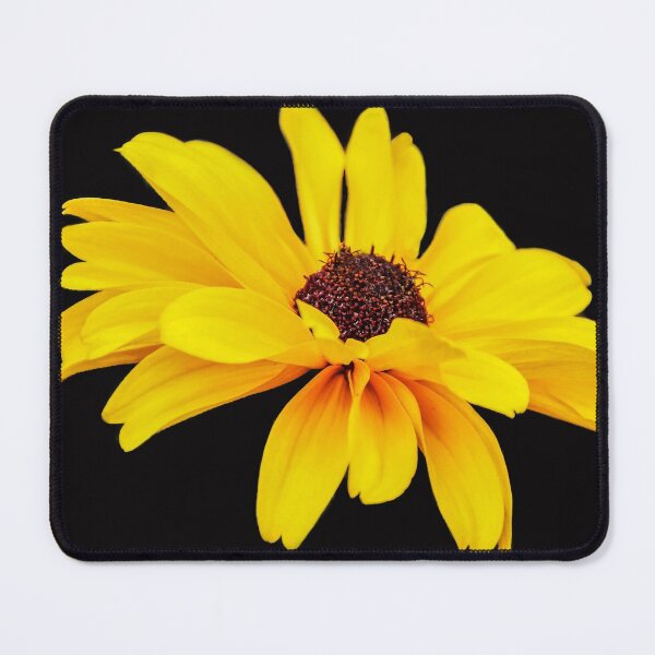 Item preview, Glorious Daisy designed and sold by heatherfriedman.