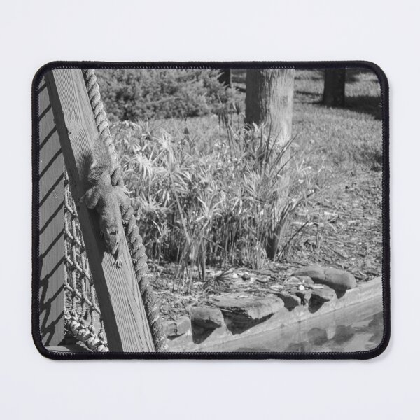 Item preview, Squirrel playing on red bridge by pond b/w designed and sold by FindYouByZ.