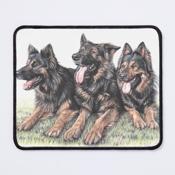 Item preview, Longhaired German Shepherds designed and sold by Arts & Dogs.
