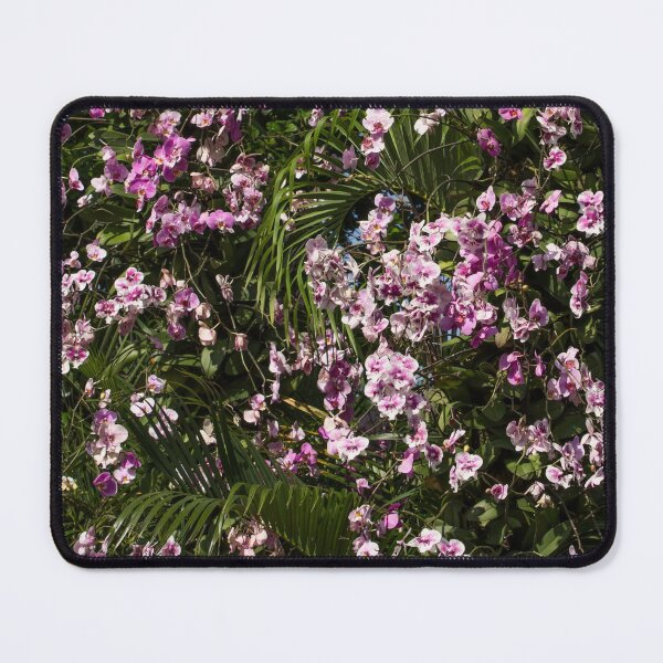 Item preview, Orchids climbing up the palm designed and sold by Zina Stromberg.