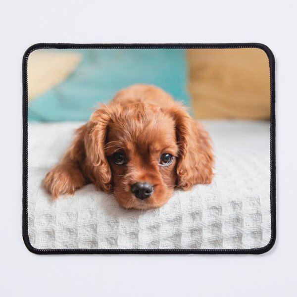 Item preview, A tenderness of a puppy! designed and sold by CutenessMania.