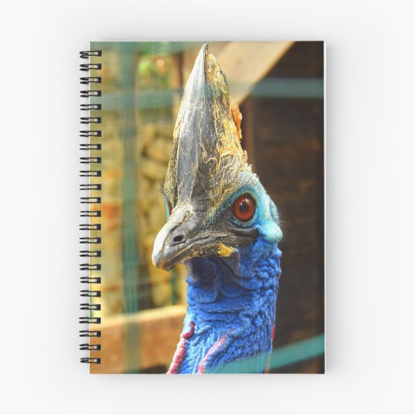 Item preview, a beautiful cassowary with a piercing look designed and sold by Sapphire-Sheaf.