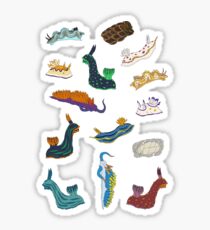 Nudibranchia Sticker