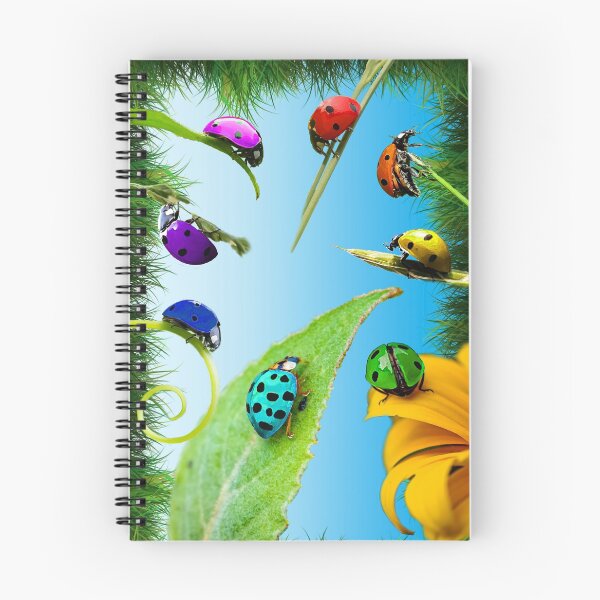 Item preview, Don't argue with a Ladybug! designed and sold by LekkerPrintz.
