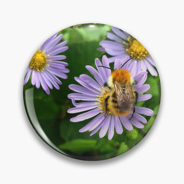 Item preview, Bee on Purple Aster designed and sold by Violaman.