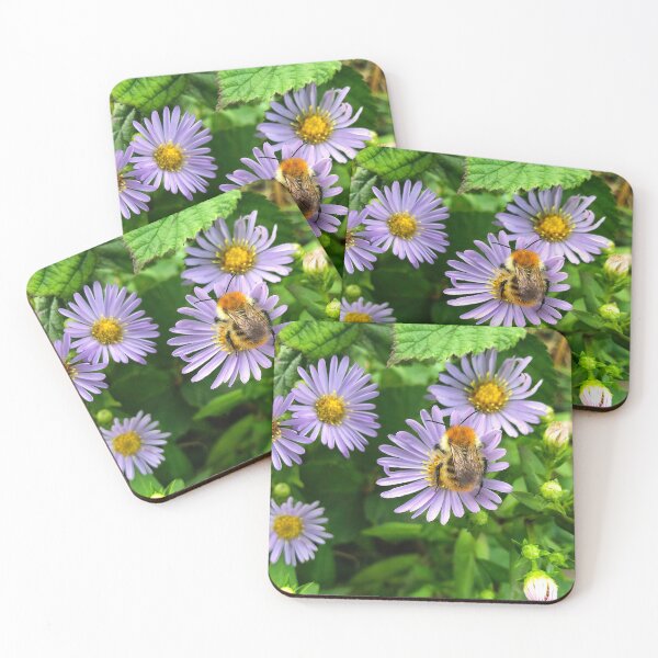 Item preview, Bee on Purple Aster designed and sold by Violaman.