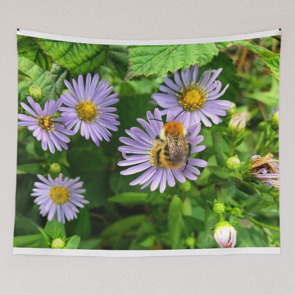 Item preview, Bee on Purple Aster designed and sold by Violaman.