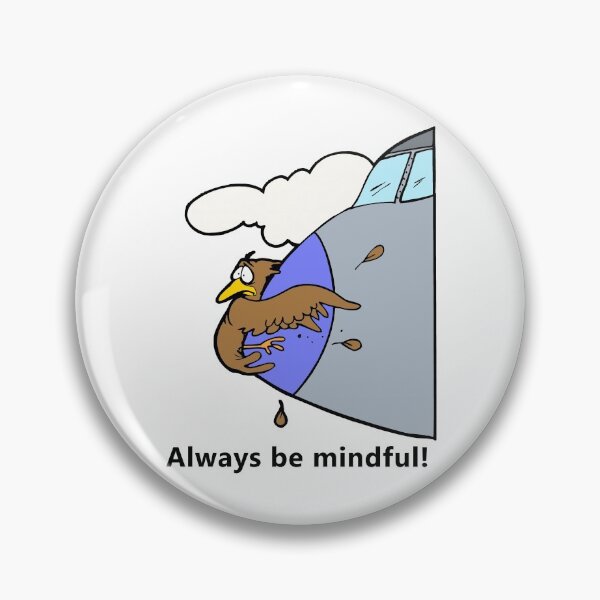 Item preview, Always be Mindful Bird on nose of jet designed and sold by janraydesigns.
