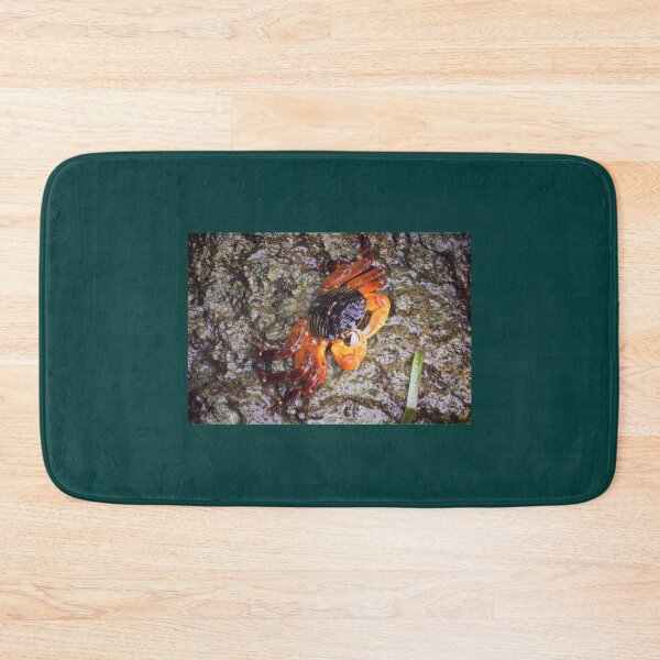 Item preview, Essendon Crab Premium Scoop  designed and sold by HenryLovesSadie.