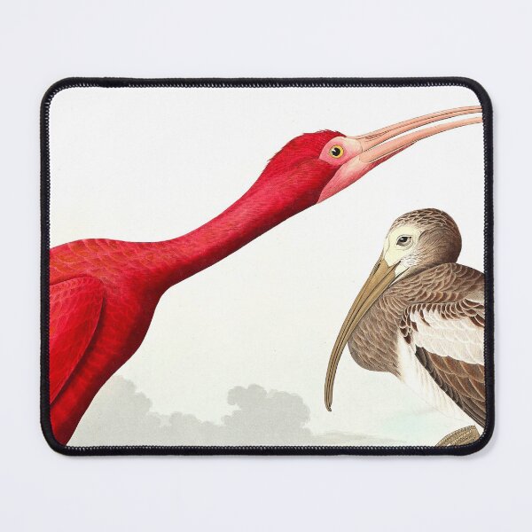 Item preview, Scarlet Ibis from Birds of America (1827) by John James Audubon designed and sold by mikefer.