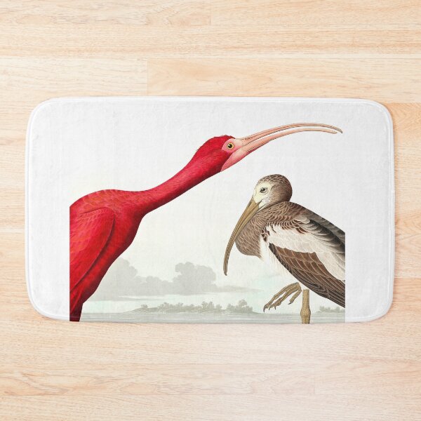 Item preview, Scarlet Ibis from Birds of America (1827) by John James Audubon designed and sold by mikefer.