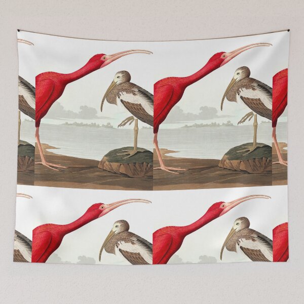 Item preview, Scarlet Ibis from Birds of America (1827) by John James Audubon designed and sold by mikefer.