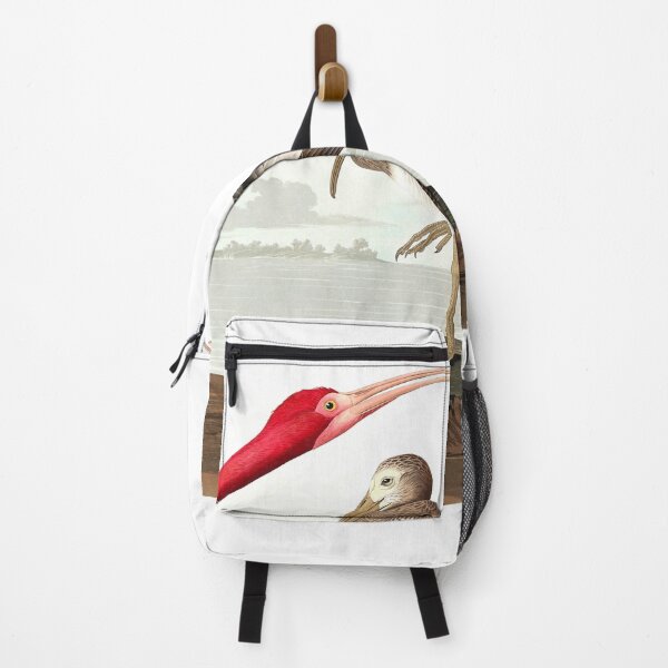 Item preview, Scarlet Ibis from Birds of America (1827) by John James Audubon designed and sold by mikefer.