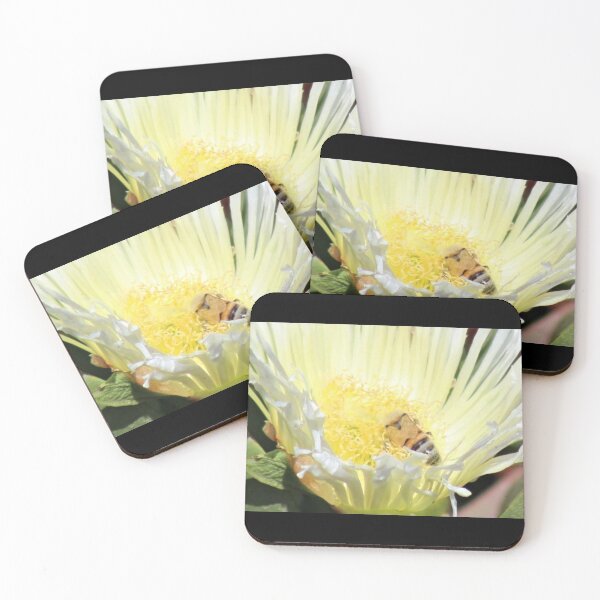 Item preview, Bee Nap designed and sold by craftsbydaphy.