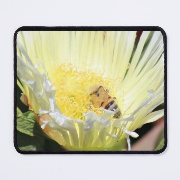 Item preview, Bee Nap designed and sold by craftsbydaphy.