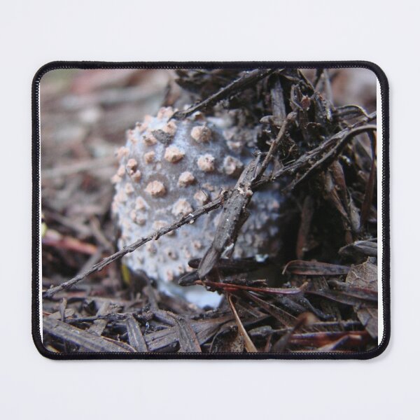 Item preview, Trap Door Mushroom designed and sold by Jean Gregory Evans.