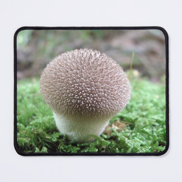 Item preview, Witch's Cupcake Shroom designed and sold by Jean Gregory Evans.