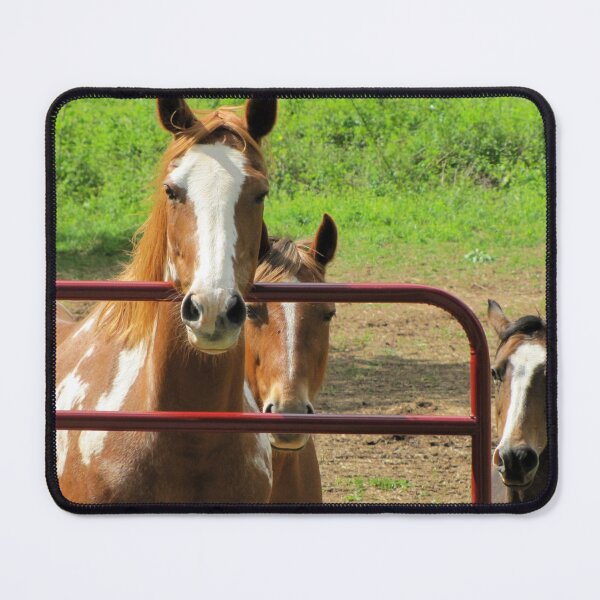 Item preview, The Thinking Horses designed and sold by Jean Gregory Evans.