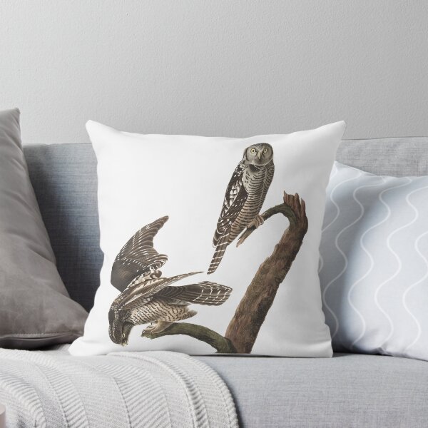 Item preview, Northern Hawk Owl - John James Audubon designed and sold by billythekidtees.
