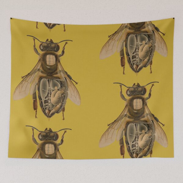 Item preview, Anatomy of a bee designed and sold by arianjacobsfc.