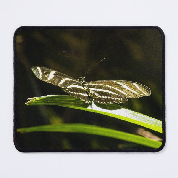 Item preview, Black and White Butterfly Photography designed and sold by lesrubadesigns.