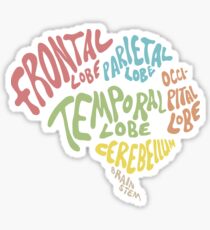 Pegatina Partes del cerebro humano