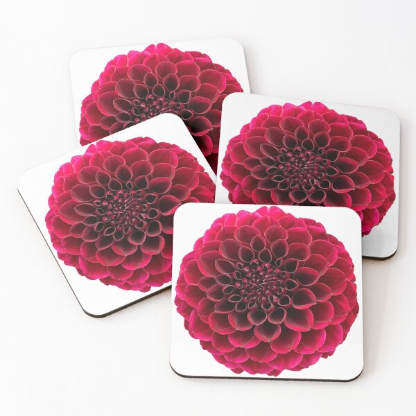 Item preview, Red Dahlia Flower Still Life Floral Photography designed and sold by CottoVerdi.