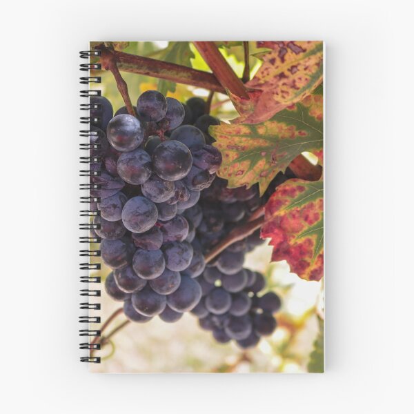 Item preview, Tempranillo grapes ready for harvest designed and sold by Nina-Nelson.