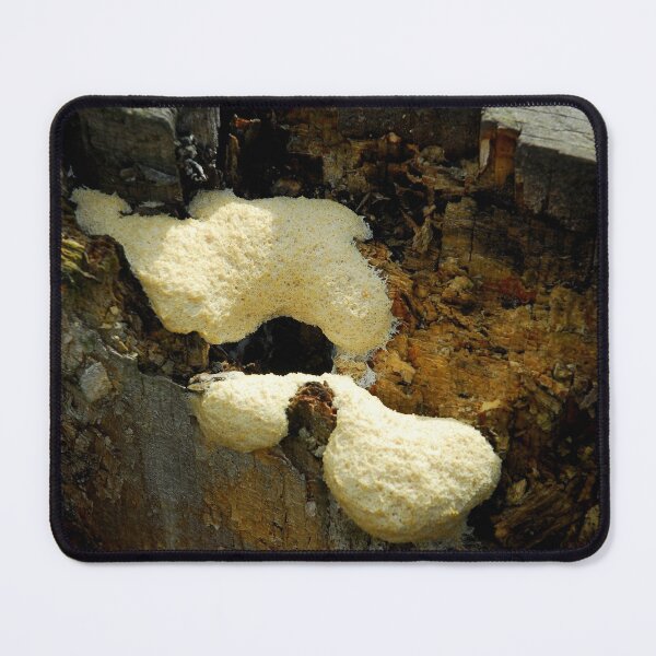 Item preview, "Dog Vomit" Slime Mould designed and sold by Billlee.