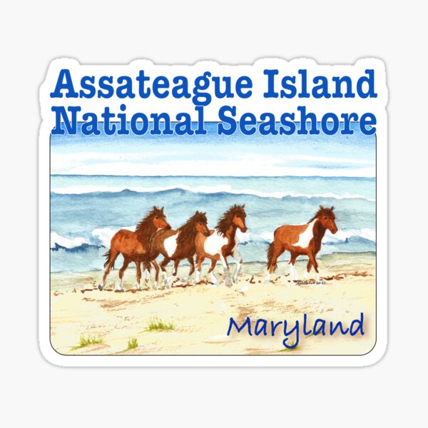 Item preview, Assateague Island National Seashore, Maryland designed and sold by MMc Buck.