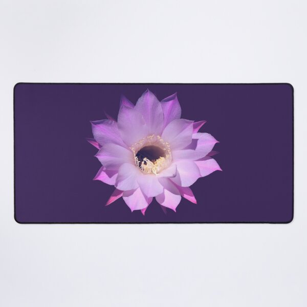 Item preview, Beautiful cactus flower designed and sold by EverLife.