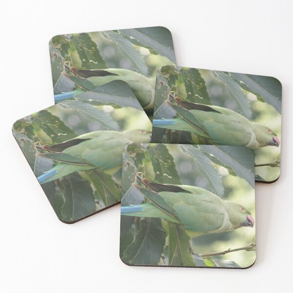 Item preview, Stretching Ring Necked Parakeet Photograph designed and sold by naturegallery.