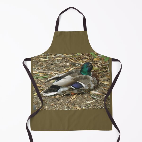 Item preview, Lazy Male Mallard Duck Photograph designed and sold by naturegallery.