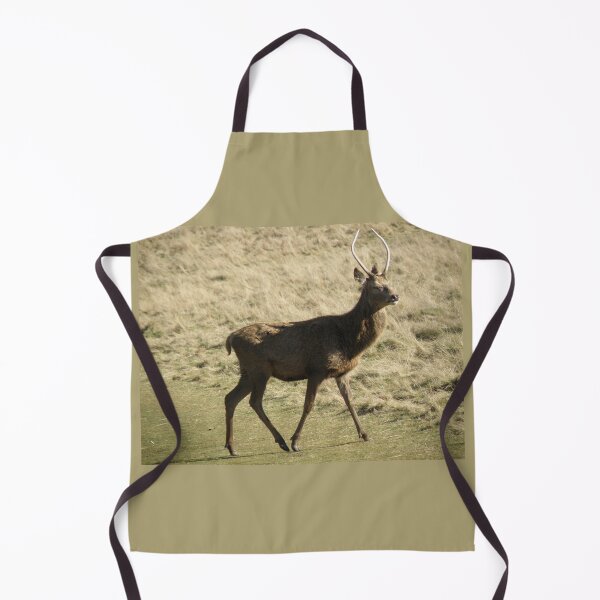 Item preview, Young Red Deer Stag Walking in Winter Photograph designed and sold by naturegallery.