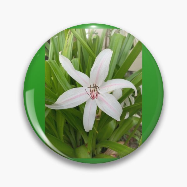 Item preview, white flower  designed and sold by Roonature.