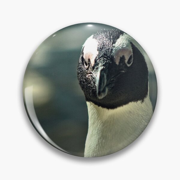 Item preview, Cape Town Penguin Closeup Portrait designed and sold by worldways.