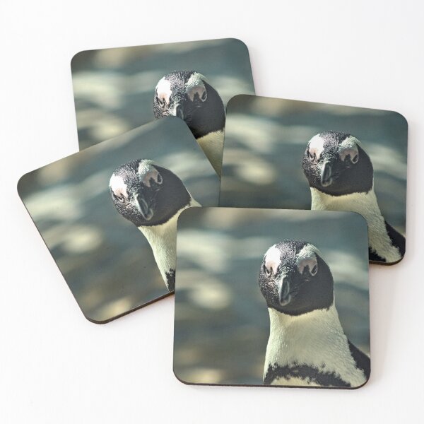 Item preview, Cape Town Penguin Closeup Portrait designed and sold by worldways.