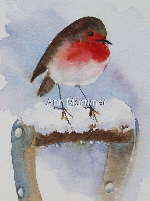 "Winter robin " by Ann Mortimer | Redbubble