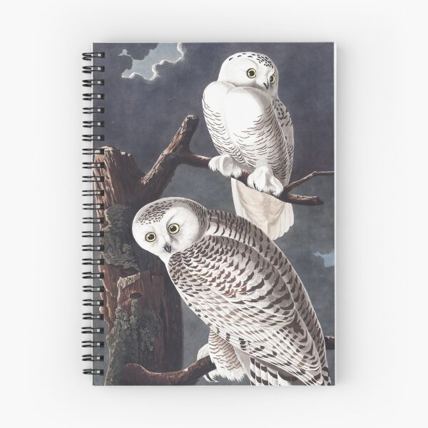 Item preview, Snowy Owl - John James Audubon designed and sold by billythekidtees.