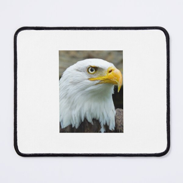 Item preview, American Eagle Born to Conquer designed and sold by SpiritLiving.