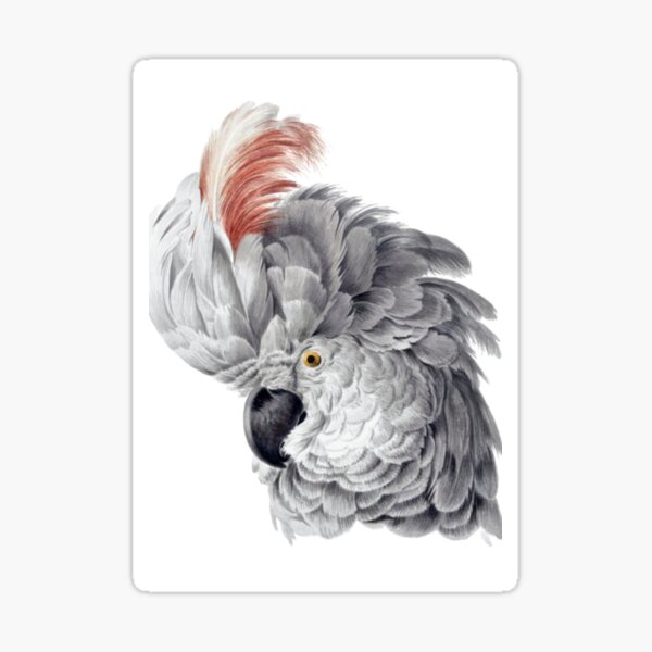 charm and exuberance Sticker