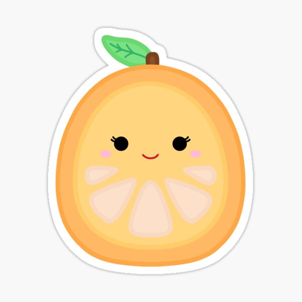 citrus squishmallow