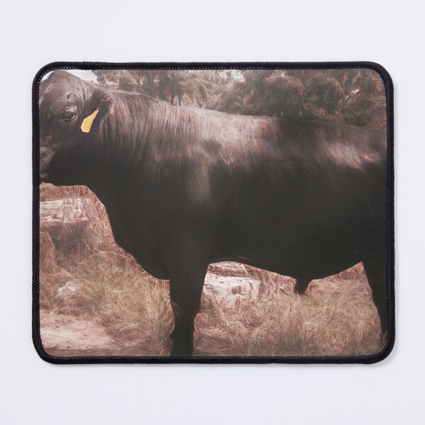 Item preview, Lady's Man designed and sold by Jim Love.