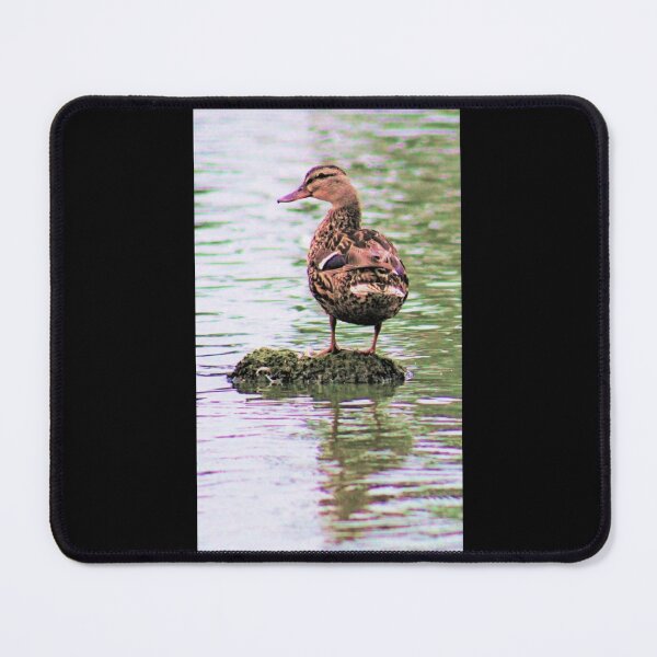 Item preview, Lone Duck designed and sold by craftsbydaphy.